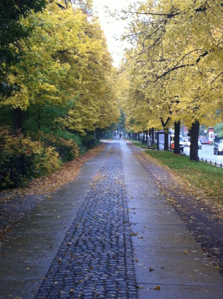 Joggen und Laufen im Herbst auf nassen Laub und Strassen