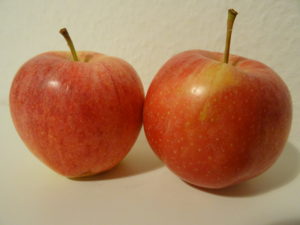 Zwei Äpfel der Sorte Gala