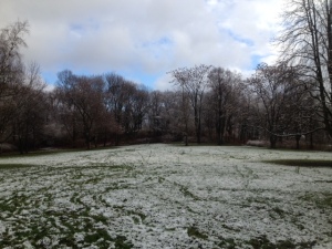 Joggen im Winter: Park mit Schnee