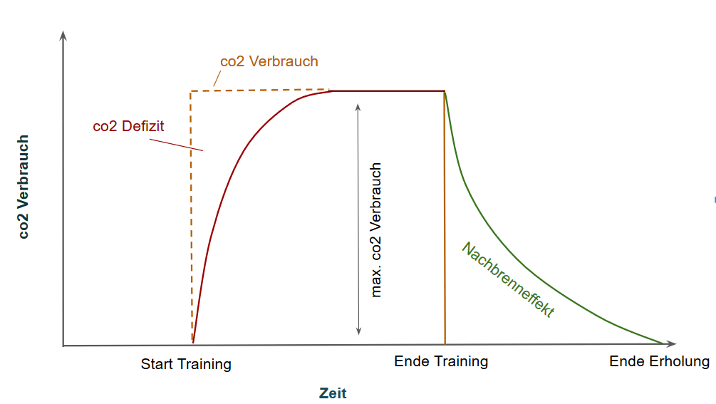 nachbrenneffekt-co2-verbrauch-vor-training-nach-training-grafik